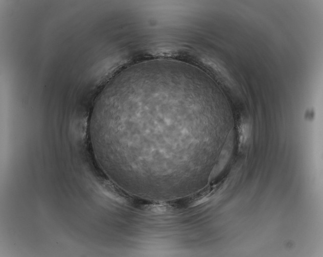 X0000091510652200708171156