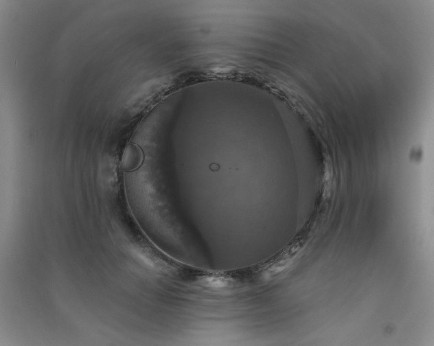 X0000091510654200708171156