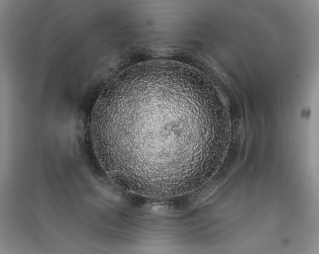 X0000091510655200708171156