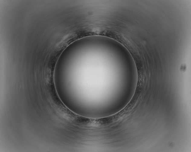 X0000091510656200708171156