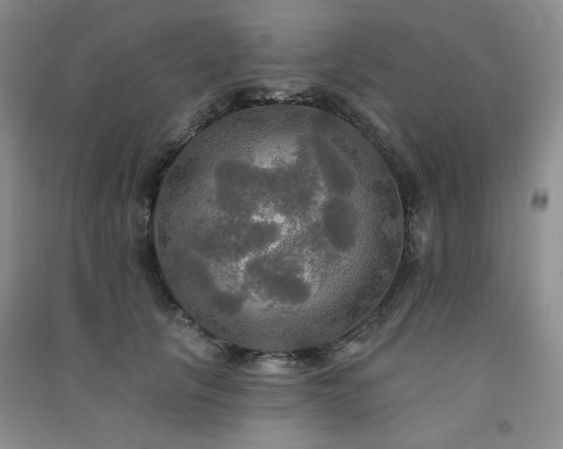 X0000091510657200708171156