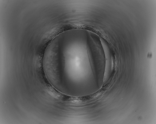 X0000091510658200708171156