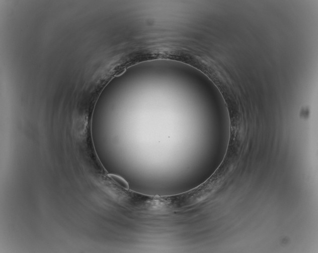X0000091510660200708171156