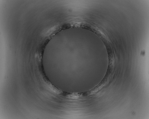 X0000091510661200708171156