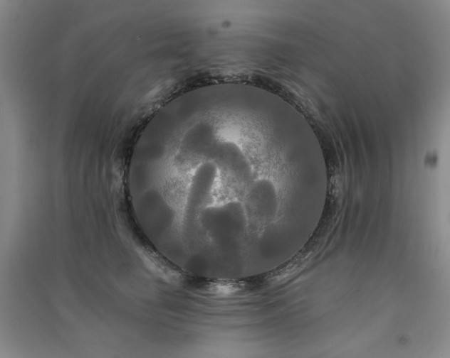 X0000091510662200708171157