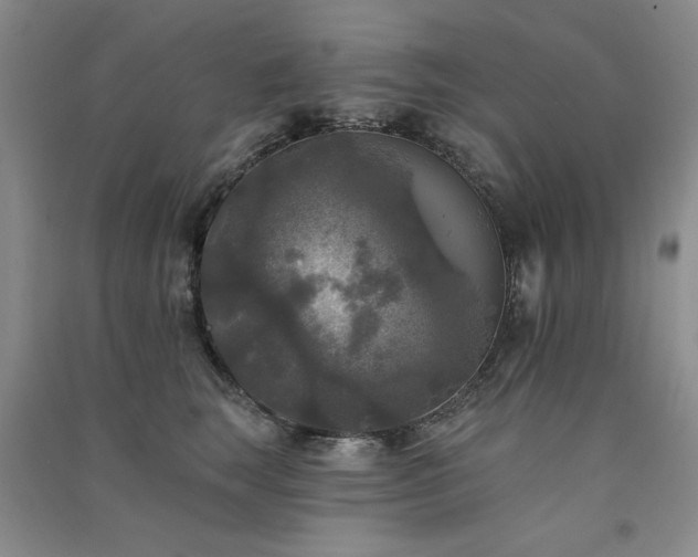 X0000091510663200708171157