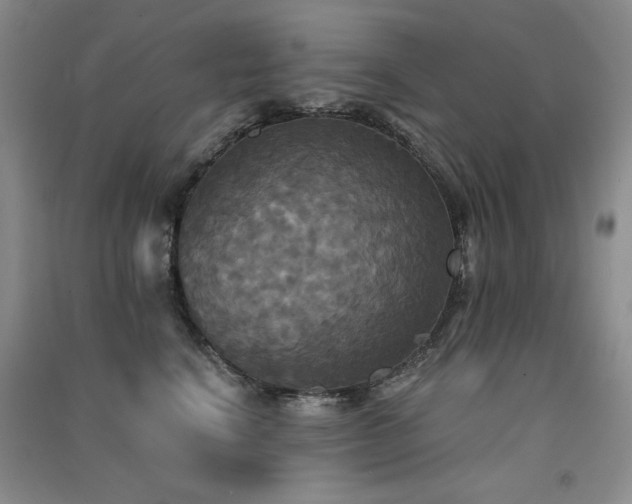 X0000091510664200708171157