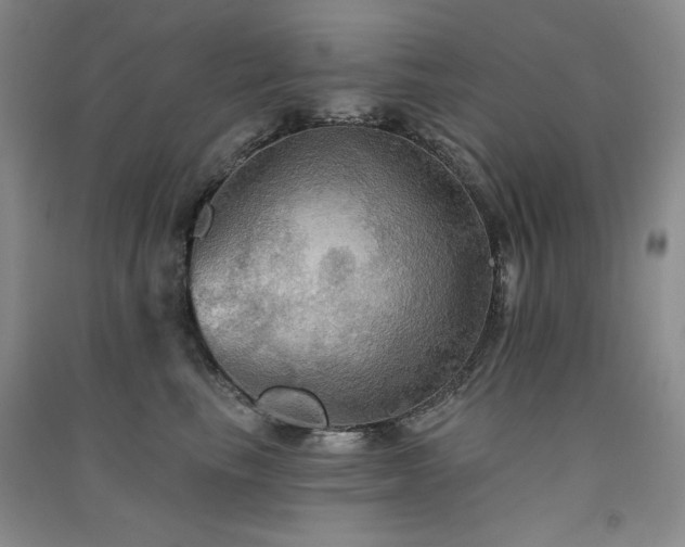 X0000091510665200708171157