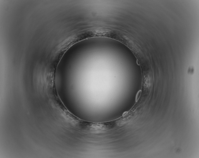 X0000091510666200708171157