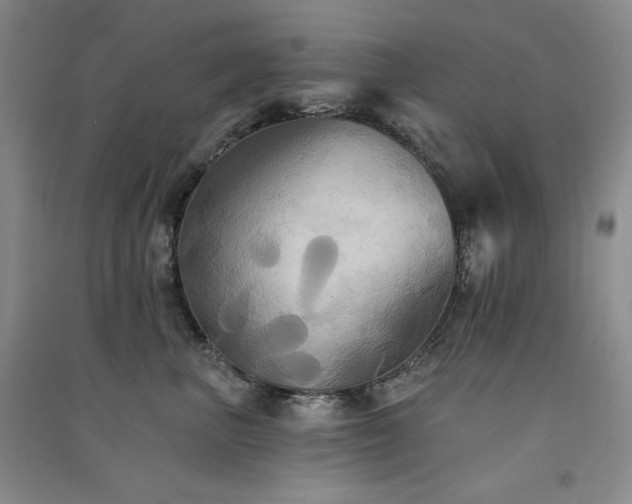 X0000091510667200708171157