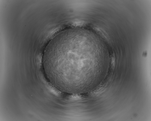 X0000091510668200708171157