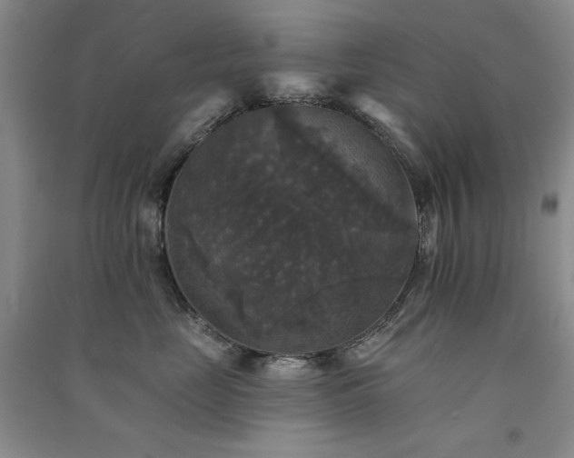 X0000091510669200708171157