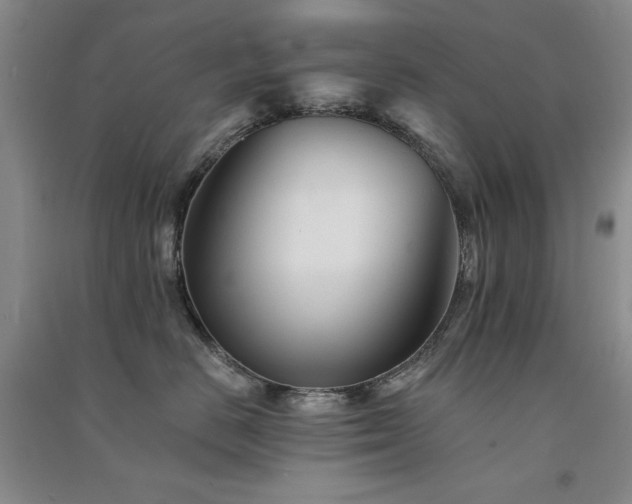 X0000091510670200708171157