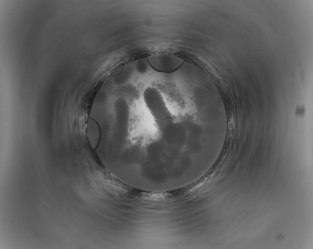 X0000091510671200708171157