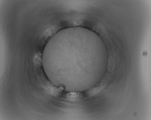 X0000091510672200708171157