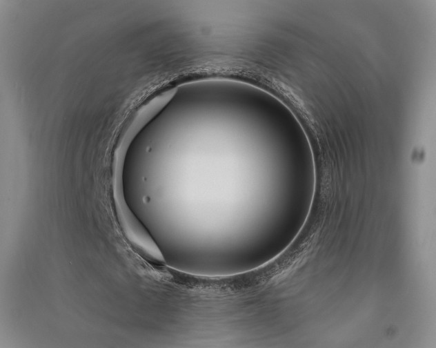 X0000091510673200708171156