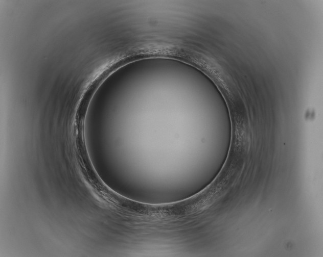 X0000091510674200708171156