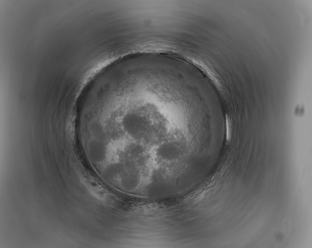 X0000091510675200708171156