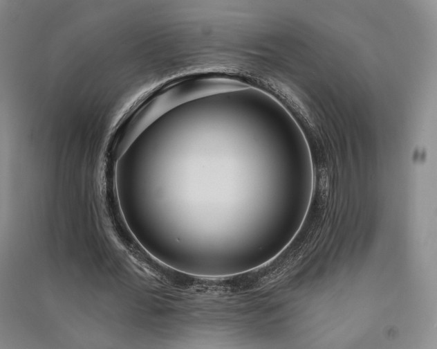 X0000091510676200708171156