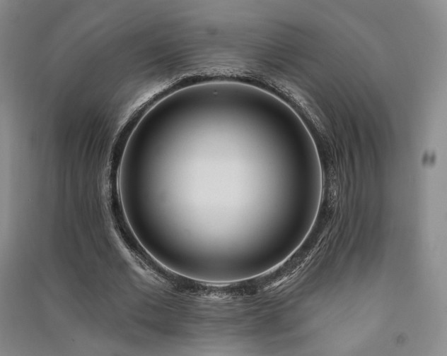 X0000091510677200708171156