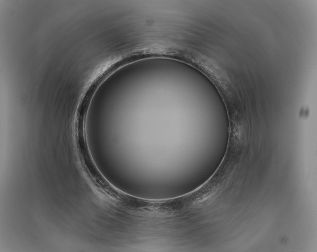 X0000091510678200708171156
