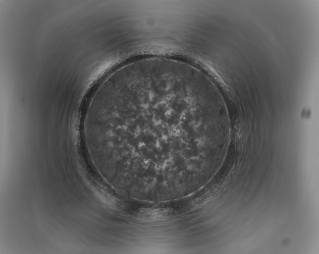 X0000091510679200708171156