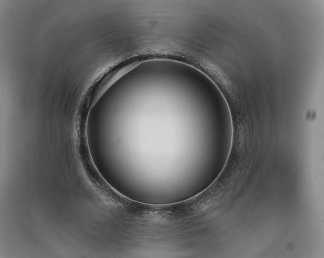 X0000091510680200708171156