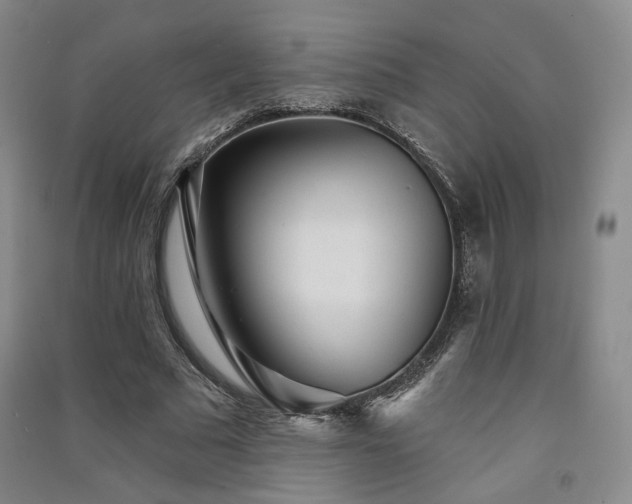 X0000091510681200708171156