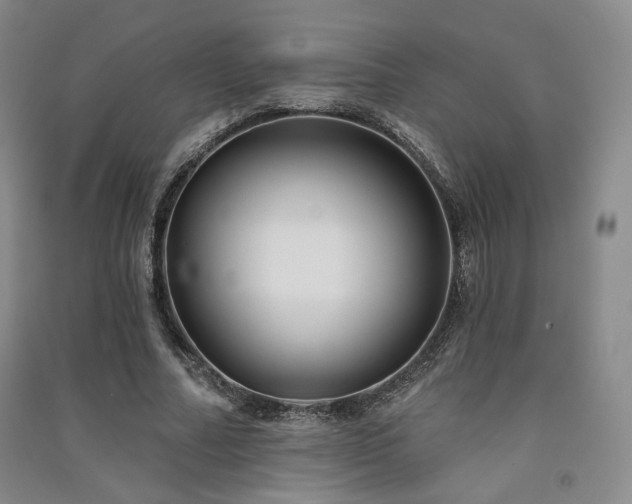 X0000091510682200708171156