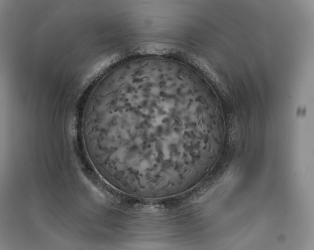 X0000091510683200708171156