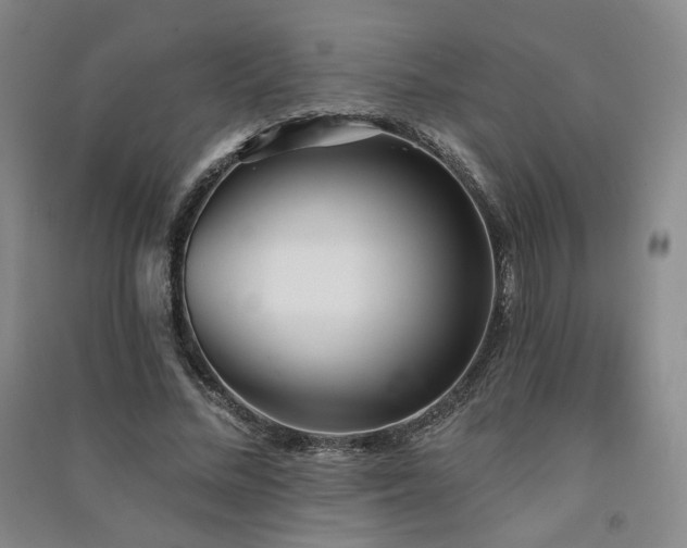 X0000091510684200708171156