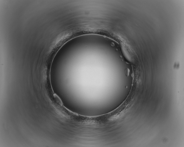 X0000091510685200708171156