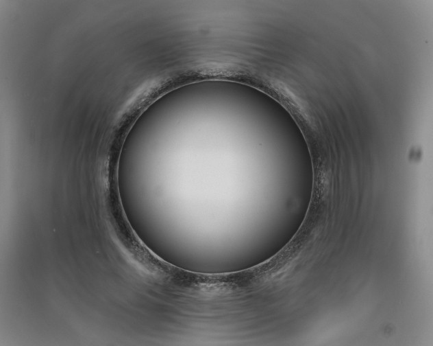 X0000091510686200708171156