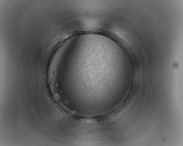 X0000091510689200708171156