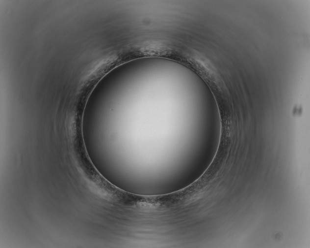 X0000091510690200708171156