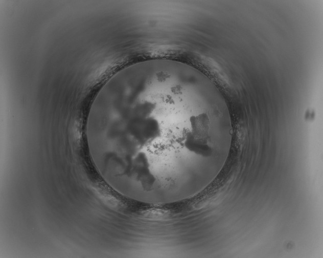 X0000091510691200708171156