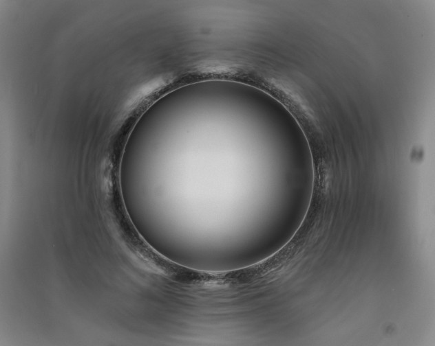 X0000091510692200708171156