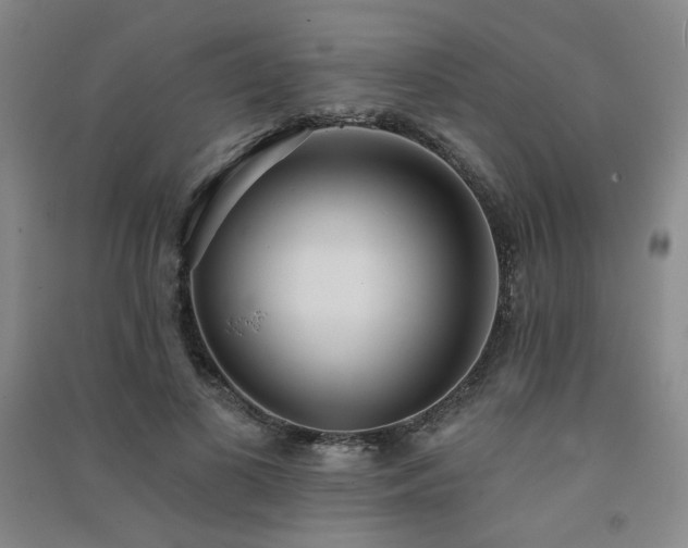 X0000091510693200708171156