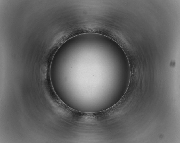 X0000091510694200708171156
