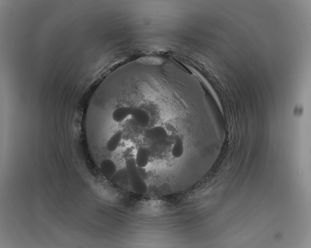 X0000091510695200708171156