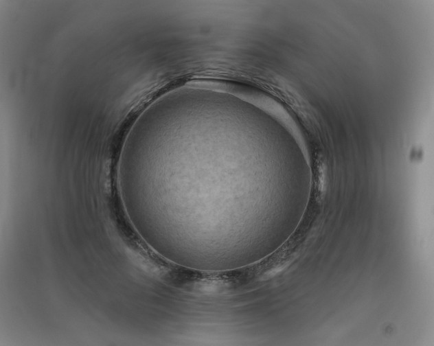 X0000091510696200708171156