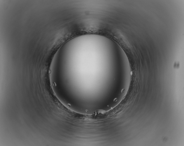 X0000091510697200708171156