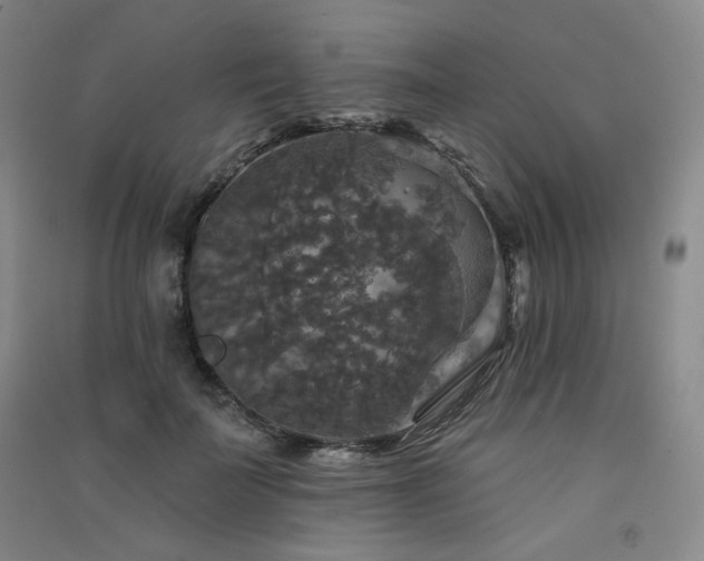 X0000091510699200708171156