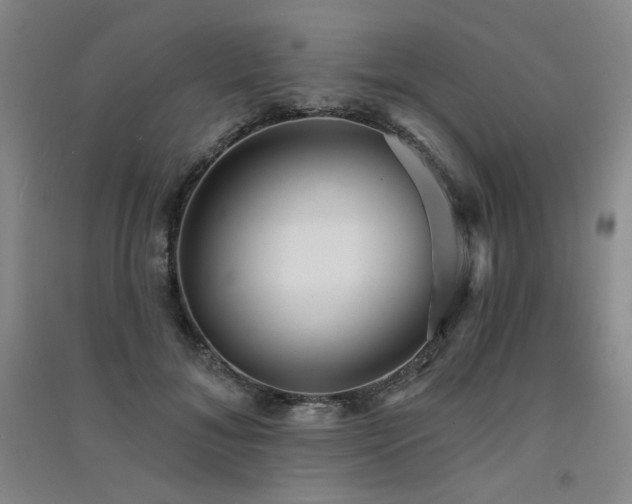X0000091510700200708171156