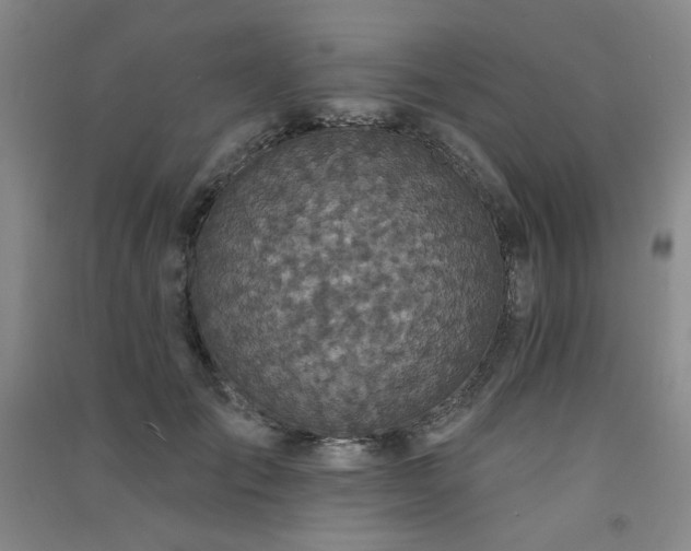 X0000091510701200708171156
