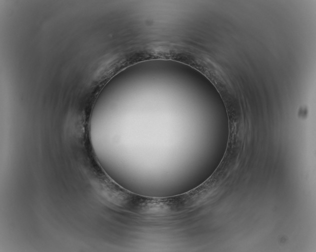 X0000091510702200708171156