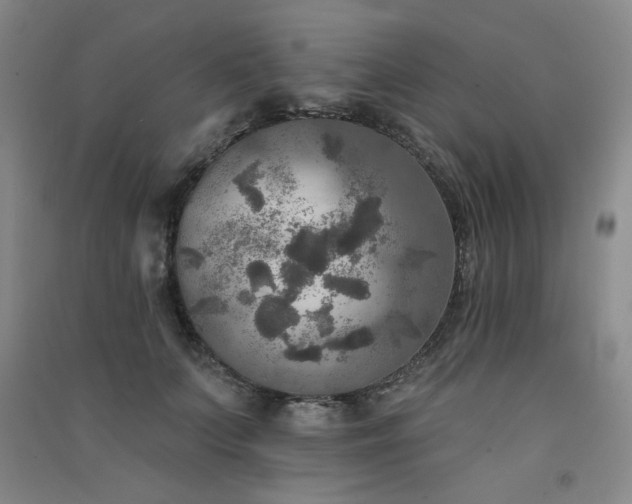 X0000091510703200708171156