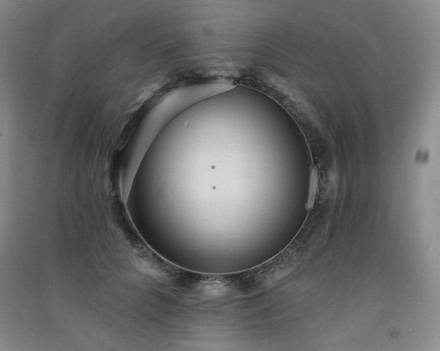 X0000091510704200708171156