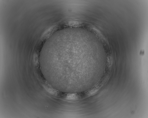 X0000091510705200708171156