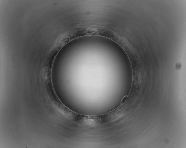 X0000091510706200708171156